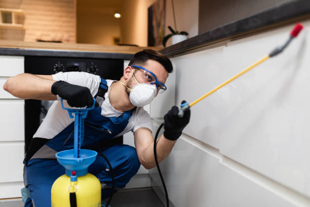 Best Best Pest Control Companies  in Wilkinson Heights, SC