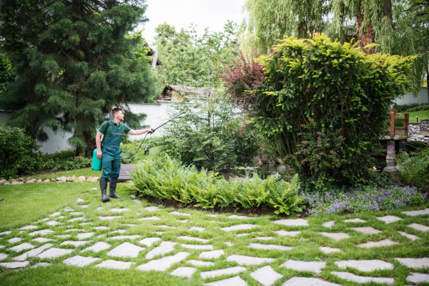 Pest Prevention Services in Wilkinson Heights, SC